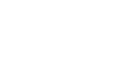 vaio.png